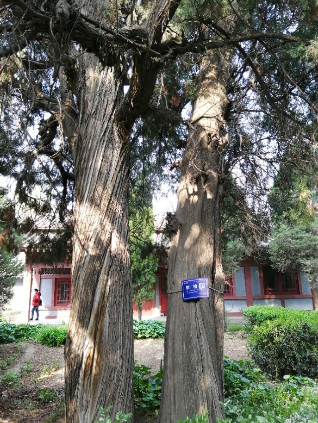 东汉天降陨石，刘秀坟的传说