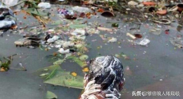 恒河水是什么梗，印度恒河水是什么梗（半个元素周期表。”被奉为“圣河”的水为啥那么脏）