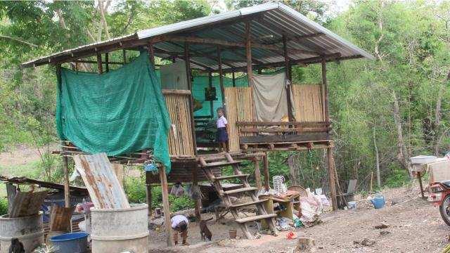 亚马逊河在哪个国家，亚马逊河在哪（亚马逊河在哪个洲）