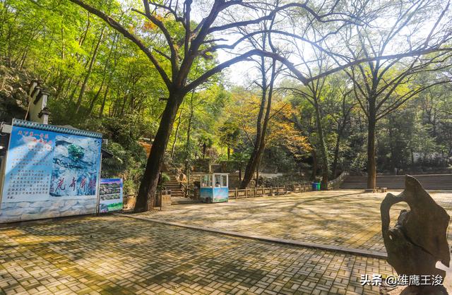 合肥旅游景点大全，合肥的旅游景点有哪些最出名（11月合肥最值得打卡的6个宝藏景区）