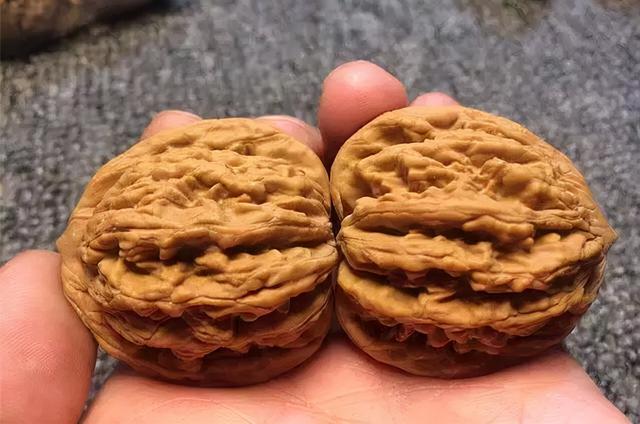 核桃怎么盘玩效果最好，盘玩核桃的正确方法（文玩核桃这样盘玩才会红得快）