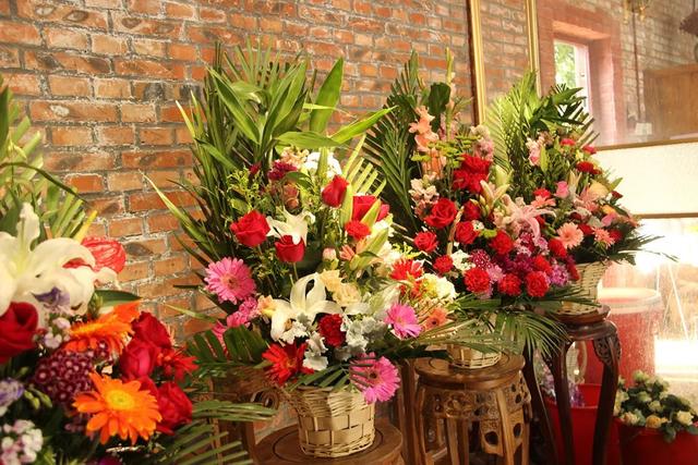 仓鼠公母怎么区分，仓鼠的公母怎样区分（朋友圈一大波狗粮来袭）