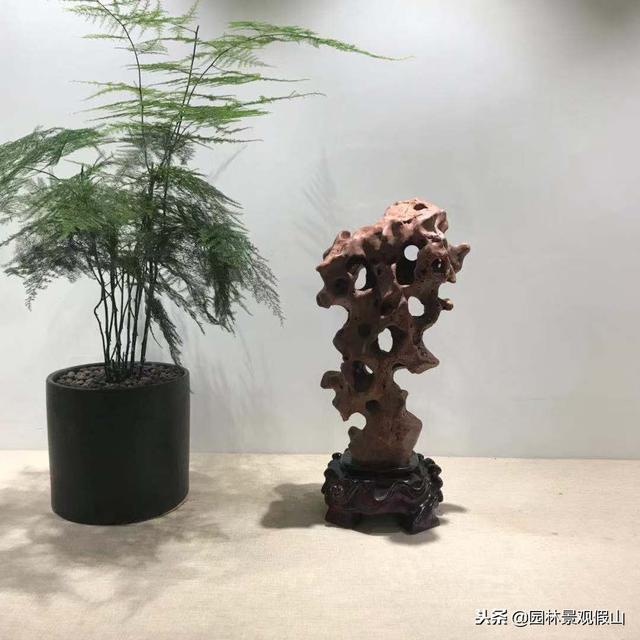 太湖石的特点，太湖石的特点5大特点（太湖石的成因特点）