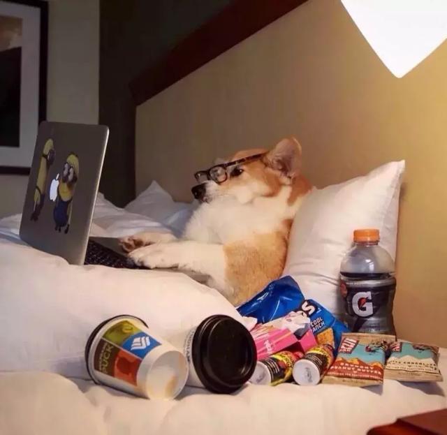 全世界晚安图片，我对全世界说晚安，唯独对你说喜欢。，微信头像（我对全世界说晚安）