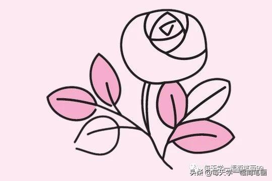 玫瑰花的简笔画，玫瑰花简笔画（每天学一幅简笔画--玫瑰花简笔画的画法步骤教程及图片大全）