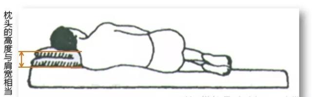 站如松坐如钟行如风卧如弓是什么意思，站如松坐如钟仿写（卧如弓什么意思你知道吗）