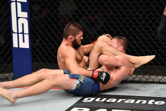 小鹰ufc总收入，小鹰最后一战收入460万英镑