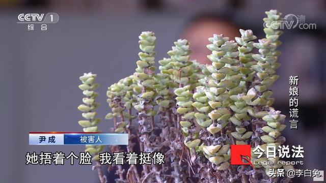 30岁不结婚该判刑，30岁不结婚该判刑 动态（两名奇葩“骗婚女”落网）