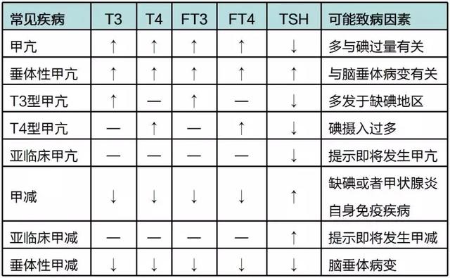 甲功七项化验单解读，甲功七项化验单详细解析（最全甲状腺B超、甲功报告全解析）