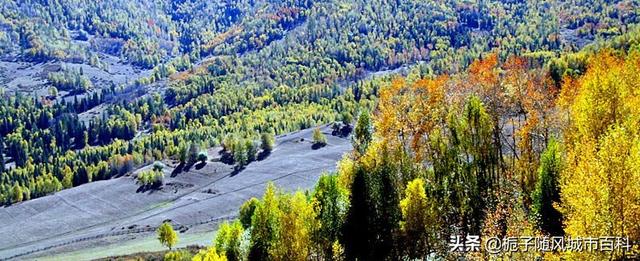 福海县属于哪个市，福海县属于哪个市哪个区（新疆阿勒泰下辖的7个行政区域一览）