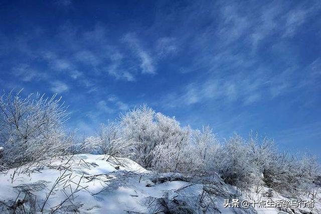 吉林雾凇景色奇特三九严寒，冰天雪地中的美景——吉林雾凇