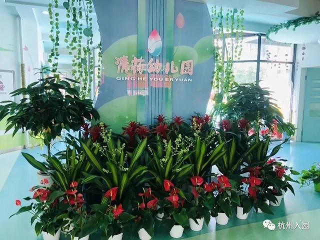 杭州近江民办幼儿园排名，杭州10所学费低的民办幼儿园