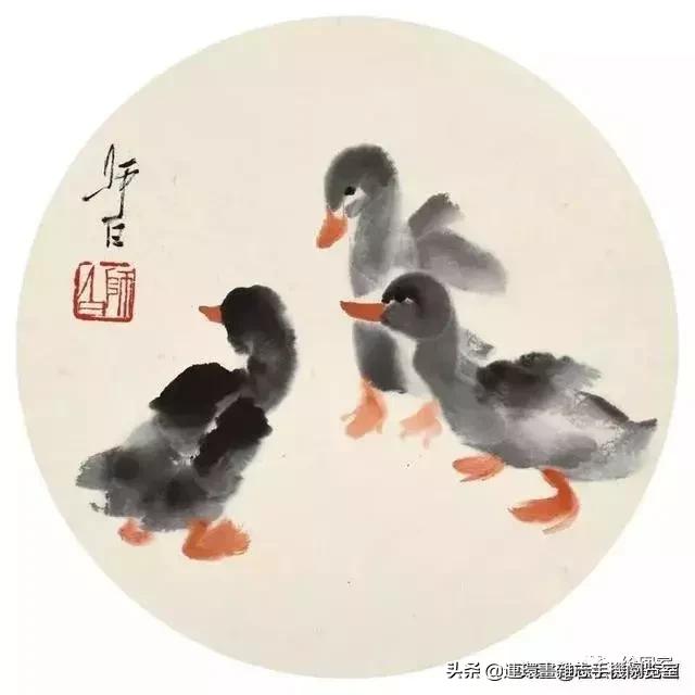 怎么画鸭子,今天星期二考试考个鸭蛋怎么画鸭子(娄师白教你画鸭子) 怎么画鸭子,今天星期二考试考个鸭蛋怎么画鸭子(娄师白教你画鸭子)