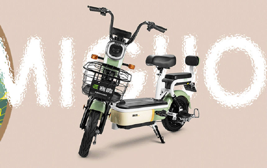 电瓶车排行榜(电瓶车品牌排行榜大全)