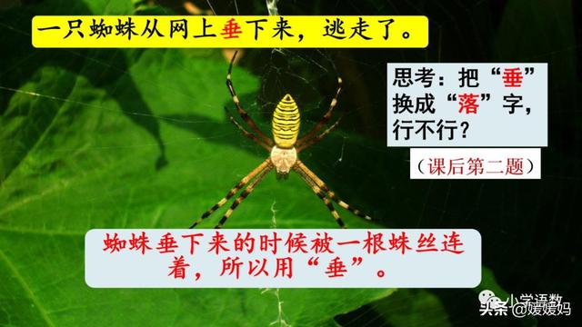 形容闪电的词语，描写闪电的四字词语（二年级下册语文课文16《雷雨》图文详解及同步练习）