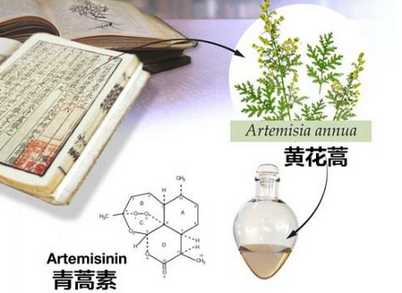 中药学专业大学排名，2021年开设中药学专业的大学排名及名单（实力最强的竟然是这所双非大学）