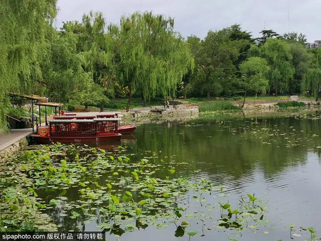 北京免费开放的景点，北京十大景点免费开放的地方（就藏着“小苏杭”“小奈良”）