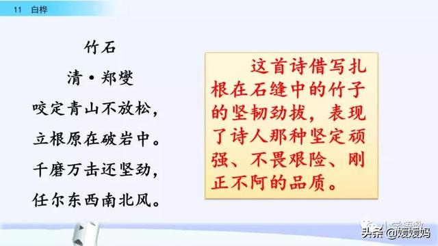 悠扬的近义词，“悠扬”的近义词是什么（四年级下册语文第11课《白桦》图文详解及同步练习）