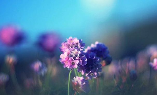 老好人是什么意思，老好人的定义是什么（别成为职场中的“老好人”）