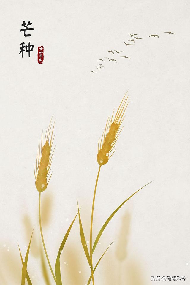 春雨惊春清谷天，春雨惊春清谷天全诗（二十四节气<春夏篇>）