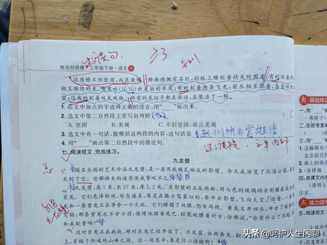 说明文第一段的作用，说明文开头段的作用（简单又有趣<一>说明文阅读）