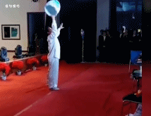 万水千山总是情下一句，万水千山总是情下一句是什么（万水千山总是情）