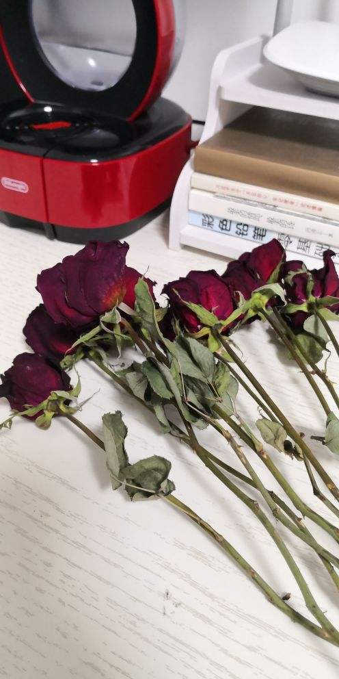 怎么做干花，干花的制作方法，必须要掌握（怎么做干花）