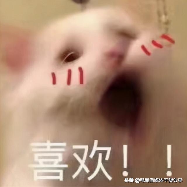 见男友的小tips什么意思中文，tips是什么意思（理工憨憨男见女友的小tips）