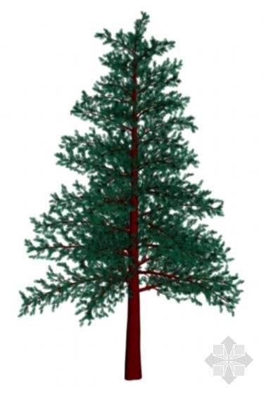 站如松坐如钟行如风卧如弓是什么意思，站如松坐如钟仿写（卧如弓什么意思你知道吗）