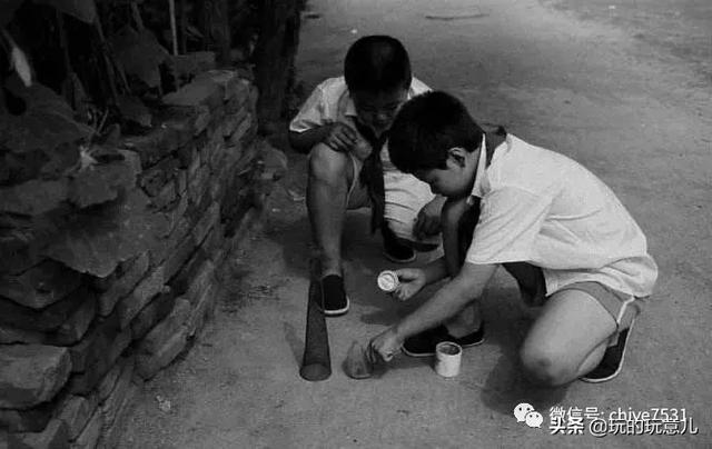 竹蛉饲养技巧，鸣虫竹蛉吃什么怎么饲养（捉虫记，竹蛉与萤火虫<一>）