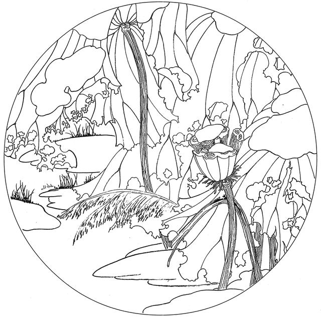 工笔荷花白描，高清工笔荷花白描 110幅