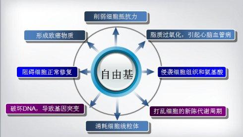 自由基对人体的伤害，自由基，这个杀手有点冷