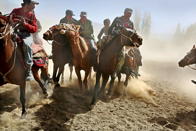 用马字组词有什么，马字组词还有什么（拍马“留序”摄影浅谈）