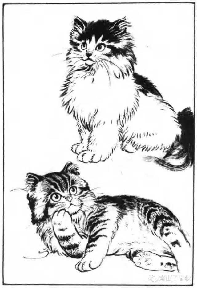 画猫动态技法百图,画小猫咪又简单又漂亮