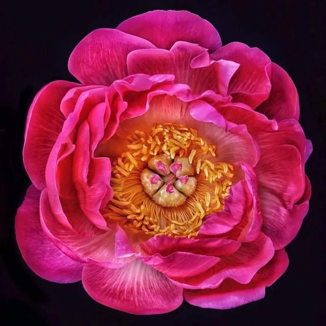 安慰闺蜜的暖心话，安慰闺蜜的暖心句子（就是时常用这十句话安慰自己）