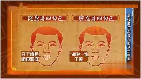 耳珠是哪个部位，耳朵长痣的位置图解（身体好不好，看“脸”就知道）