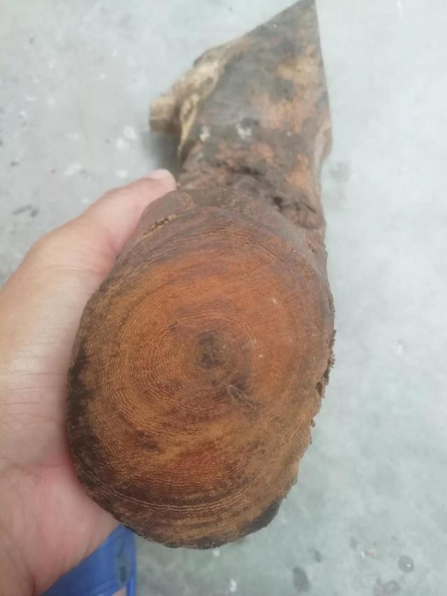 黄花梨的特点是什么，黄花梨的缺点（如何一眼判定是不是黄花梨）