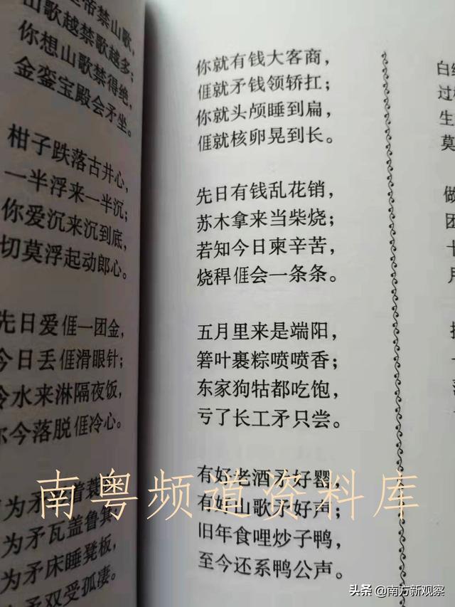 客家话讲狗贴草是什么草，狗草的功效与作用（狗有狗的幸福——浅谈客家人和畲族人跟“狗”的关系）