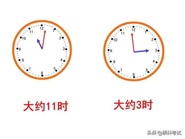 一年级认识钟表，一年级认识钟表知识点总结（一年级数学上册《认识钟表》专项复习）