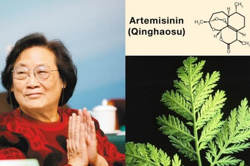 中药学专业大学排名，2021年开设中药学专业的大学排名及名单（实力最强的竟然是这所双非大学）