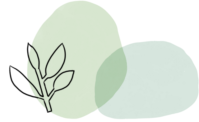 香皂花是什么材质做的，肥皂花是什么材料的（最适合懒人养的花）