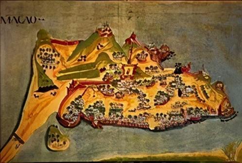 澳门的市花是什么，澳门的市花是什么名字（二十一届澳门荷花节体验这个莲花宝地）