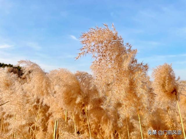 巧月是几月，诗意岁月——12个月的芳名你都知道吗