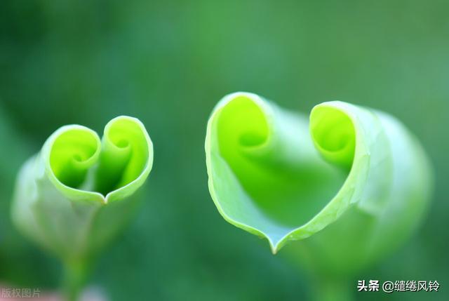 扣扣签名2021年最新版，扣扣签名2020年最新版（细微之处见真情——趣谈香山网友的个性签名）