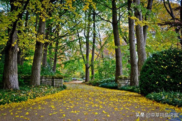 怎么炒白粿，怎么炒白粿好吃又简单（福建人才懂的美味）