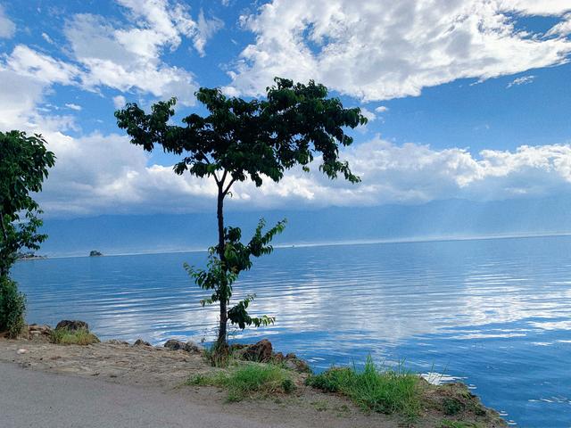 水性杨花菜的营养价值，云南菜水性杨花营养价值（但有可以吃的海菜花）