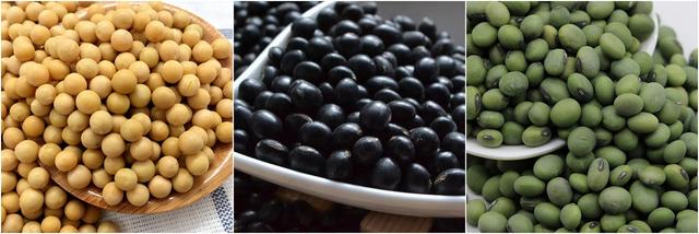 杂粮有哪些品种，粗粮都有什么（中国豆类大全）