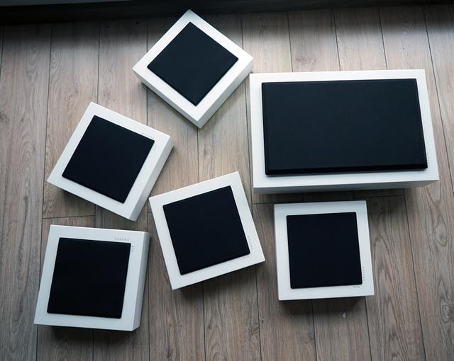 dls是什么意思，Flatmini