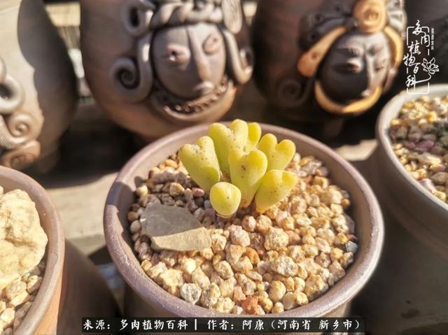 2021九·一八事变是多少周年，2021年是九一八事变的几周年（献给2021最好的春天）