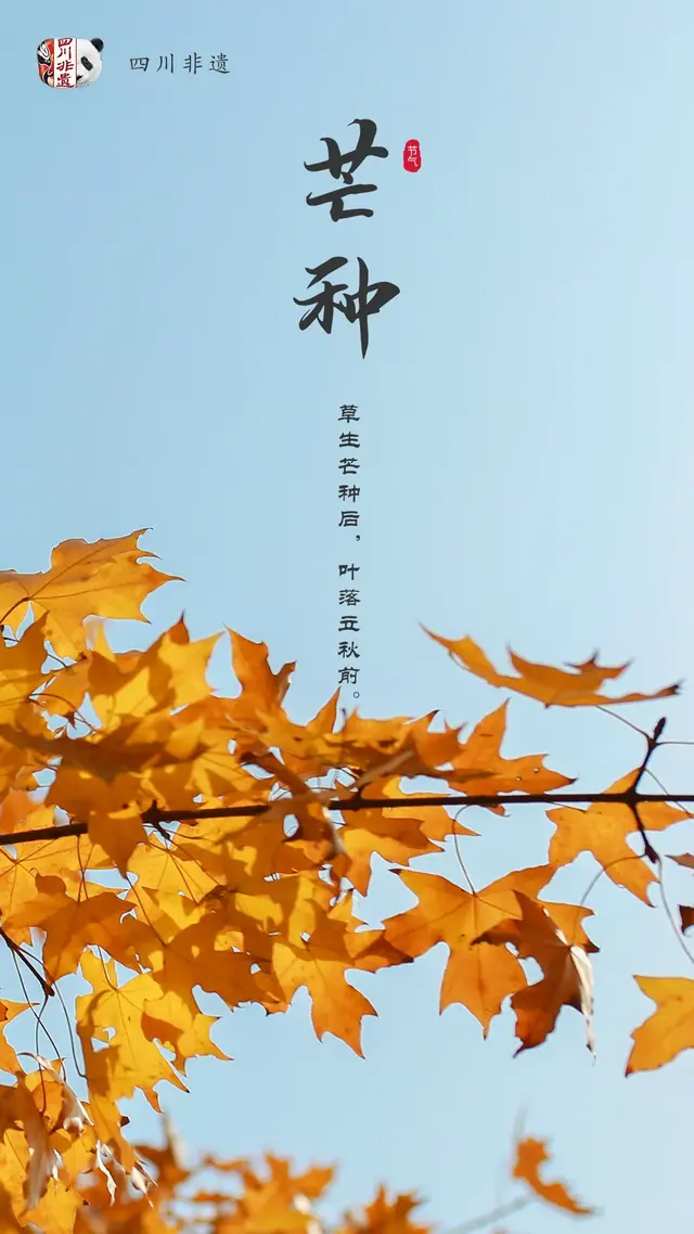 梅子什么时候成熟，梅子是什么季节的水果（芒种：栀子花开，麦黄梅熟）